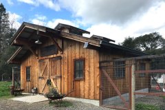 Chicken Coop