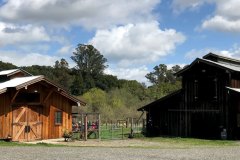 Chicken Coop and Barn