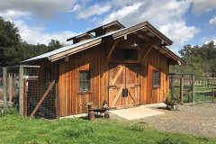 Chicken Coop